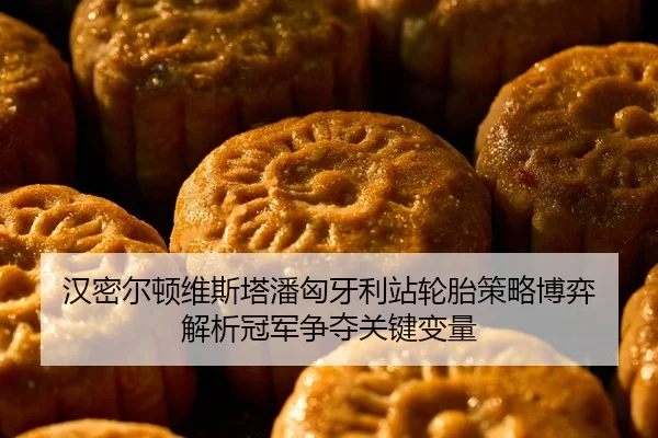汉密尔顿维斯塔潘匈牙利站轮胎策略博弈 解析冠军争夺关键变量
