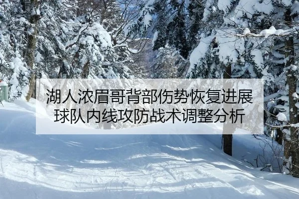 湖人浓眉哥背部伤势恢复进展 球队内线攻防战术调整分析