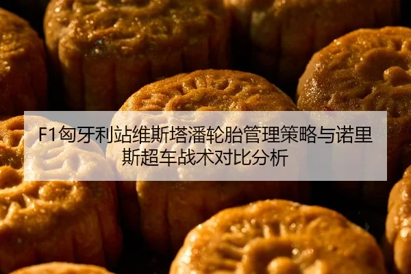 xiong-ya-li-zhan-wei-si-ta-pan-lun-tai-guan-li-ce-lve-yu-nuo-li-si-chao-che-zhan-shu-dui-bi-fen-xi-2-676.jpg