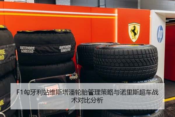 F1匈牙利站维斯塔潘轮胎管理策略与诺里斯超车战术对比分析
